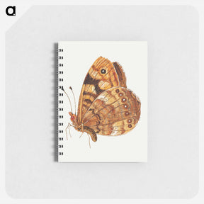 アートメモ帳-Moth from Insects and Fruits
 - ヤン ファン ケッセル Memo.