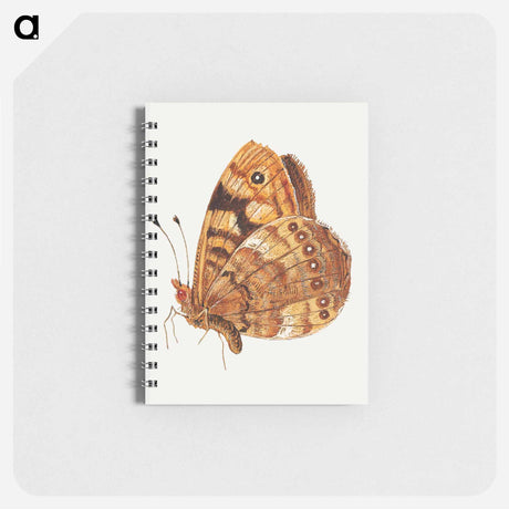 アートメモ帳-Moth from Insects and Fruits
 - ヤン ファン ケッセル Memo.