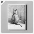 1-14_Jean-Bernard_canvas