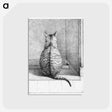 1-14_Jean-Bernard_postcard