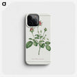 1-14_John-Edwards_phone