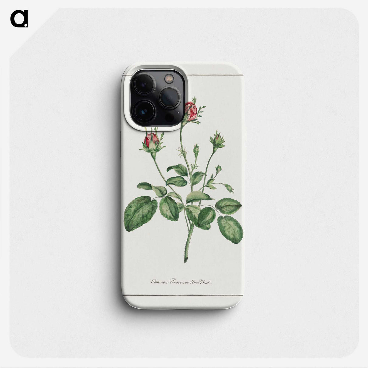 1-14_John-Edwards_phone