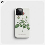 1-14_John-Edwards_phone