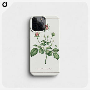 1-14_John-Edwards_phone