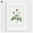1-14_John-Edwards_picture
