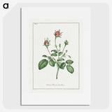 1-14_John-Edwards_picture