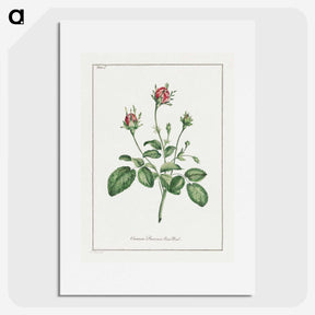 1-14_John-Edwards_picture