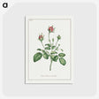 1-14_John-Edwards_postcard