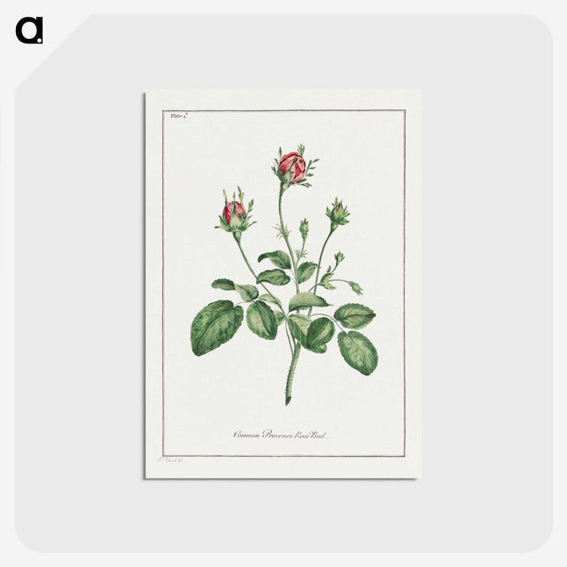 1-14_John-Edwards_postcard