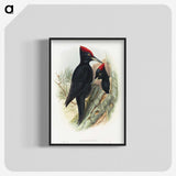 1-14_John-Gould_blk-crop