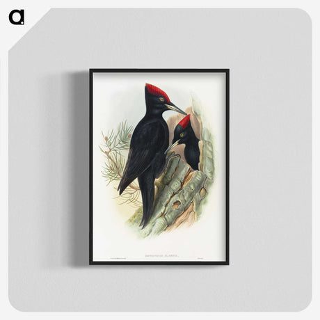 1-14_John-Gould_blk-crop