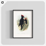 1-14_John-Gould_blk