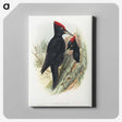 1-14_John-Gould_canvas