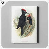 1-14_John-Gould_canvas