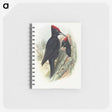 1-14_John-Gould_memo