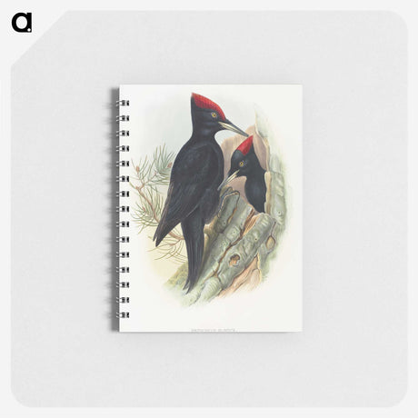1-14_John-Gould_memo