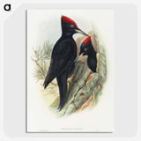 1-14_John-Gould_picture-crop