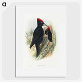 1-14_John-Gould_picture