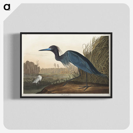 1-14_John-James-Audubon_blk-crop