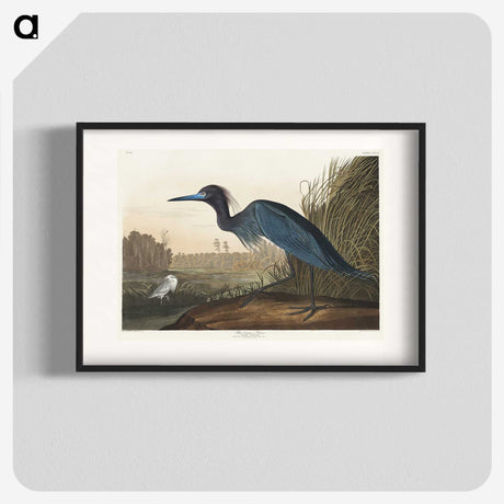 1-14_John-James-Audubon_blk