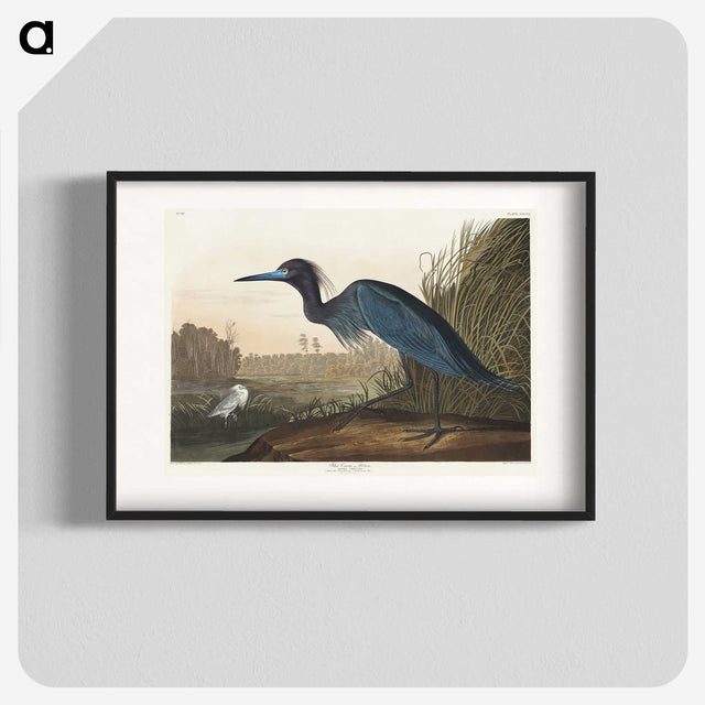 1-14_John-James-Audubon_blk