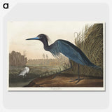 1-14_John-James-Audubon_picture-crop