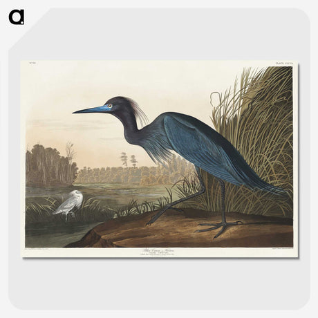 1-14_John-James-Audubon_picture-crop