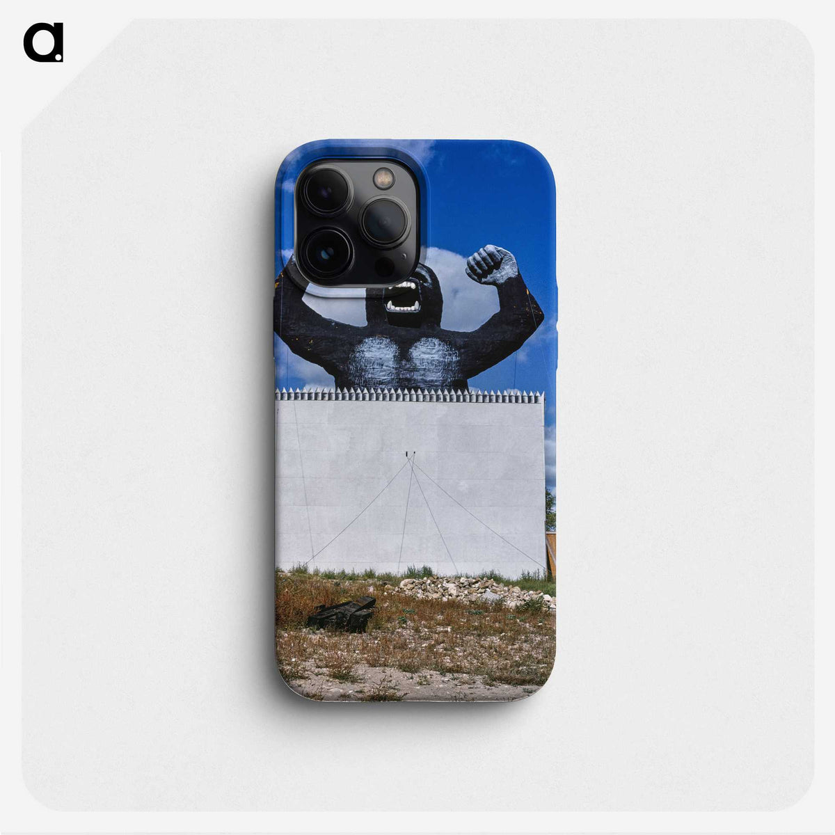 1-14_John-Margolies_phone