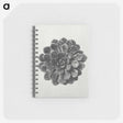 1-14_Karl-Blossfeldt_memo