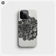 1-14_Karl-Blossfeldt_phone