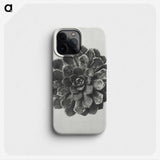 1-14_Karl-Blossfeldt_phone