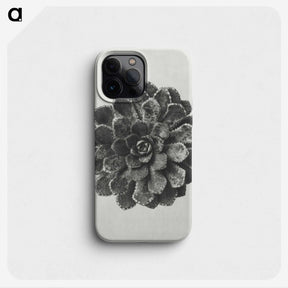 1-14_Karl-Blossfeldt_phone