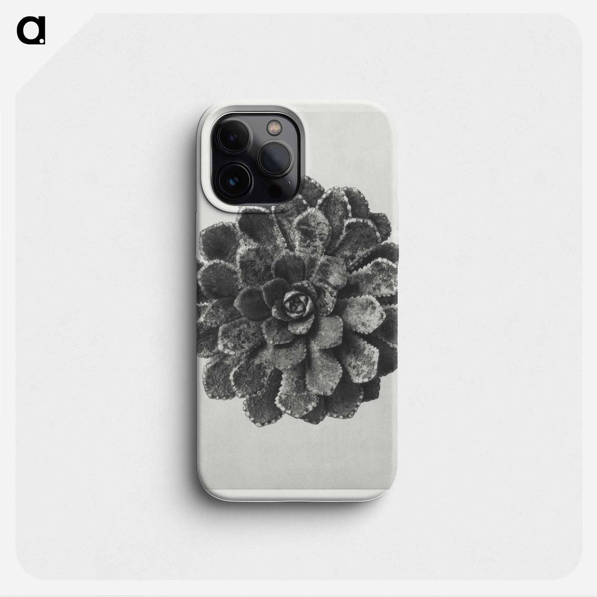 Margined Pyramidal Saxifrage - Karl Blossfeldt Phone Case.