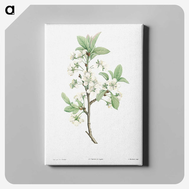 1-14_La-Botanique_canvas