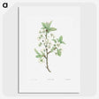 1-14_La-Botanique_picture