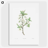 1-14_La-Botanique_picture