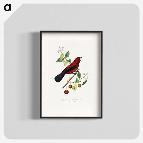 1-14_Le-Jardin-des-Plantes_blk