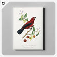 1-14_Le-Jardin-des-Plantes_canvas