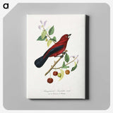1-14_Le-Jardin-des-Plantes_canvas