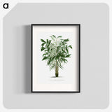 1-14_Les-Palmiers-Histoire-Iconographique_blk