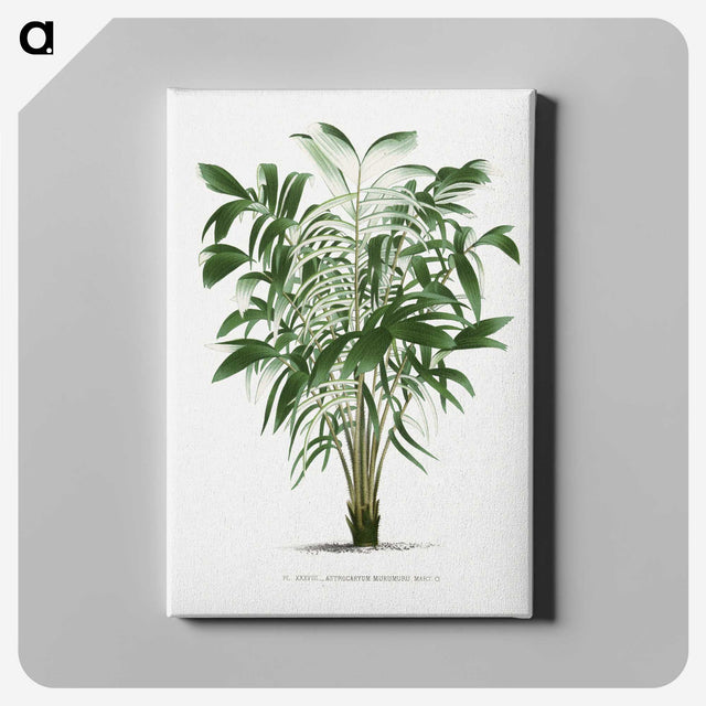 1-14_Les-Palmiers-Histoire-Iconographique_canvas