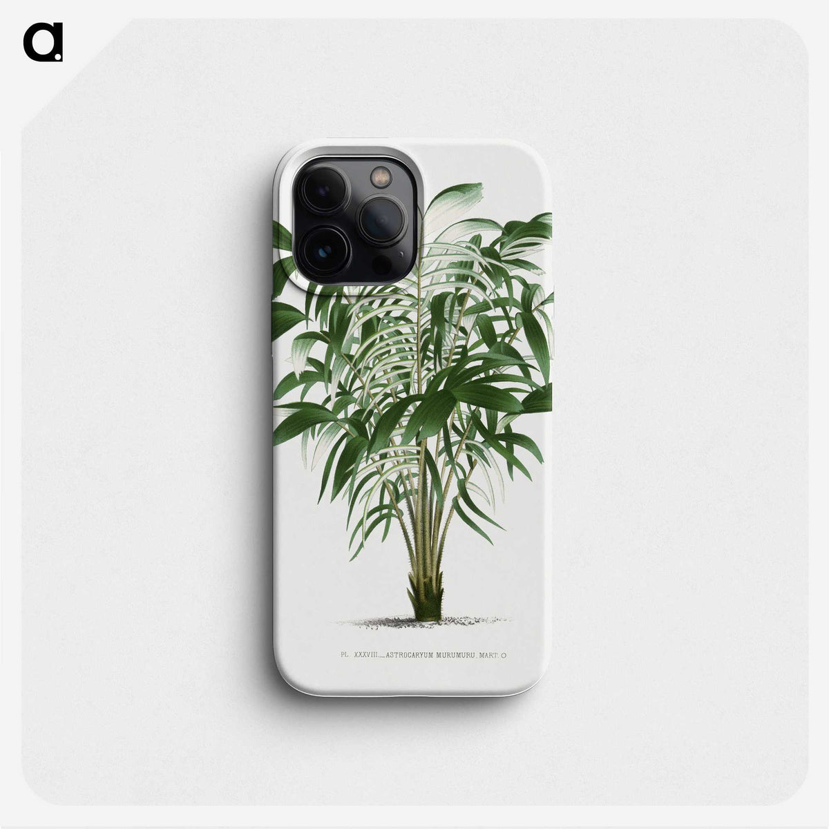 1-14_Les-Palmiers-Histoire-Iconographique_phone