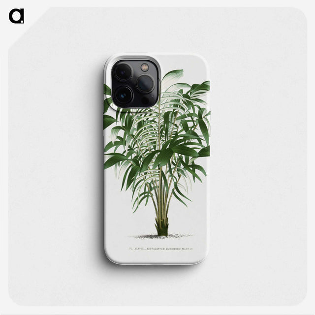 1-14_Les-Palmiers-Histoire-Iconographique_phone