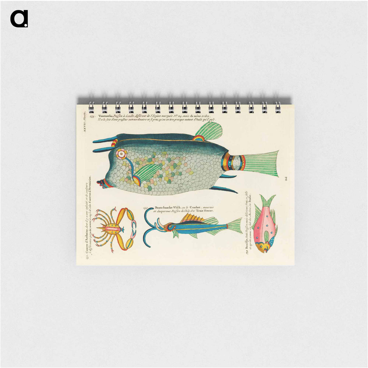 Moluccan Sea Creatures
 - ルイ ルナール Memo.