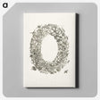 1-14_Maria-Sibylla-Merian_canvas