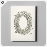 1-14_Maria-Sibylla-Merian_canvas