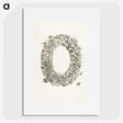 1-14_Maria-Sibylla-Merian_picture