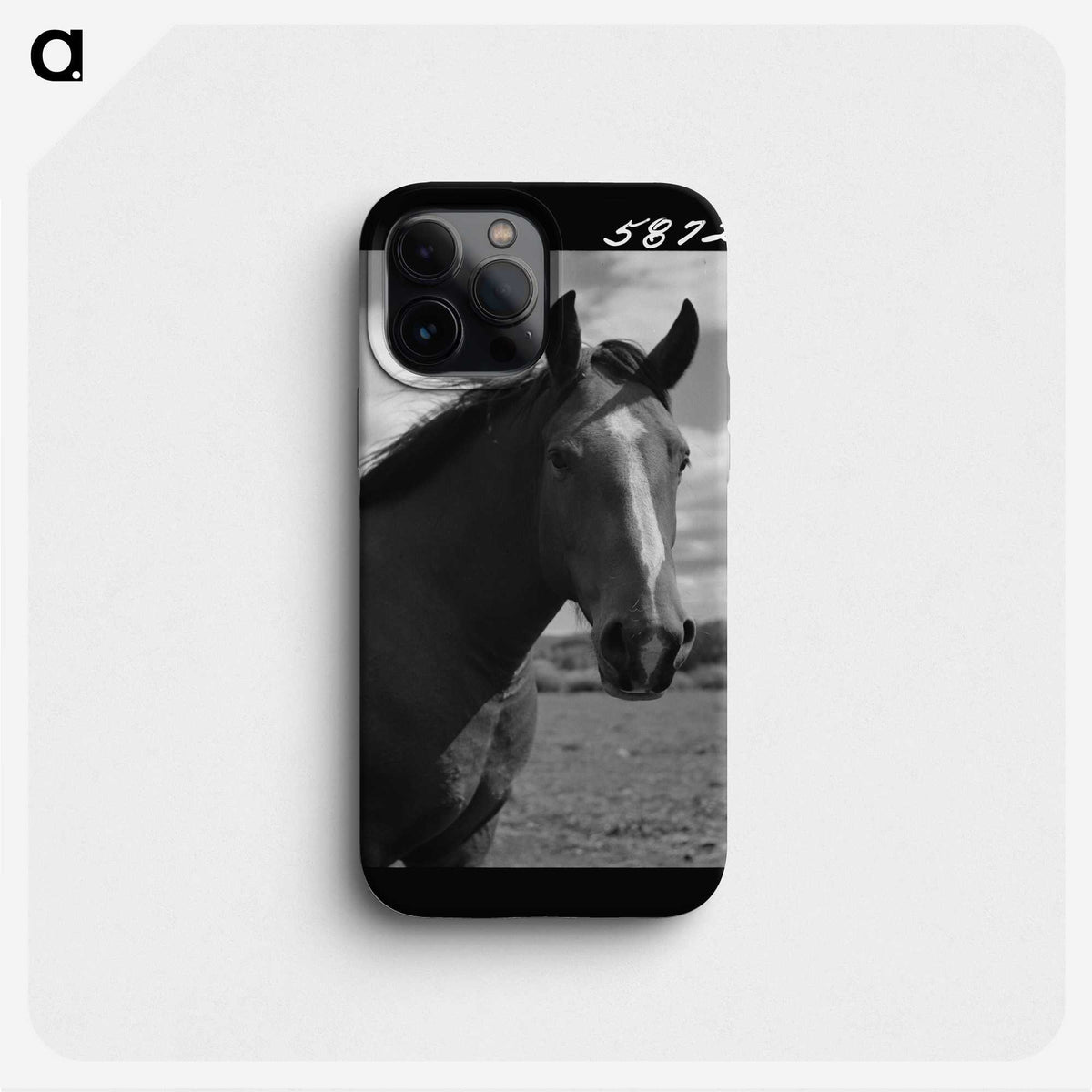 1-14_Marion-Post-Wolcott_phone