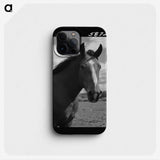 1-14_Marion-Post-Wolcott_phone