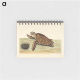 1-14_Mark-Catesby_memo